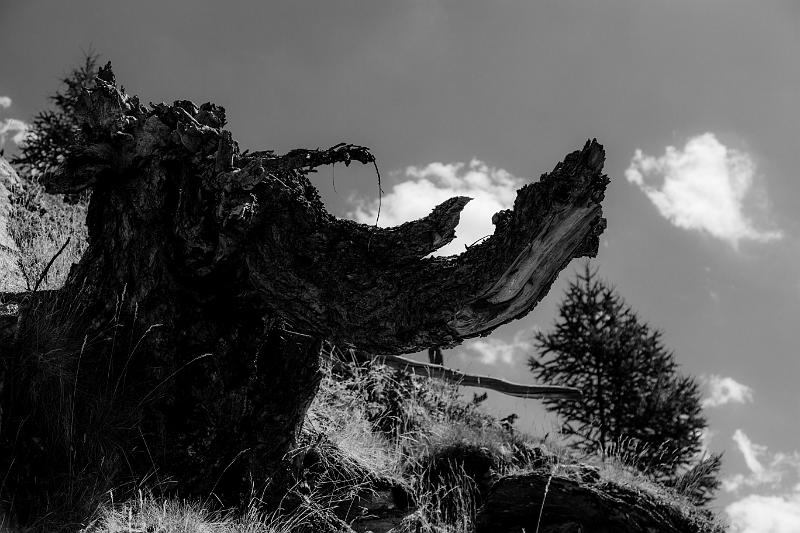 2019_08_11_Queyras (0015).jpg - rando des belvédères du Mont Viso et lac Lestio